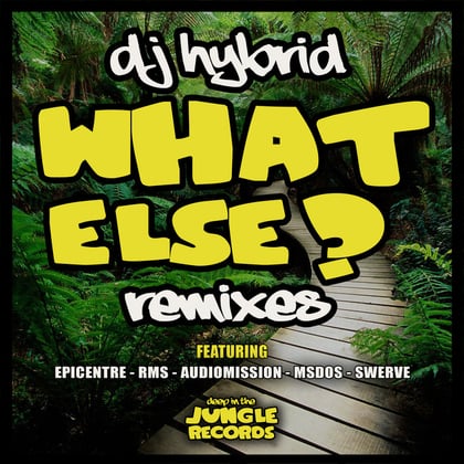 What Else Remixes album by DJ Hybrid - Drum and Bass Cover Art