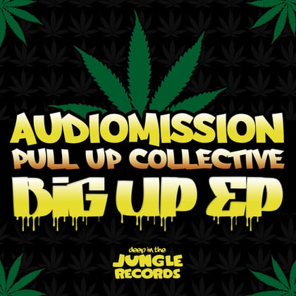 Big Up album by Audiomission - Drum and Bass Cover Art