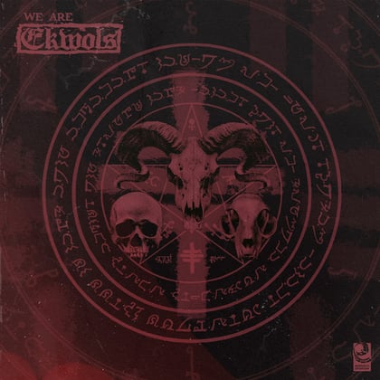 We Are album by Ekwols - Drum and Bass Cover Art