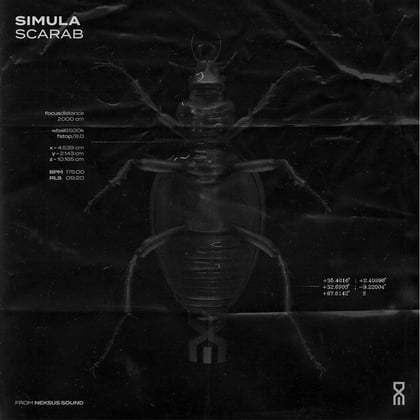 Scarab album by Simula - Drum and Bass Cover Art