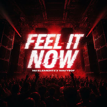 Feel It Now album by Nu Elementz & Wavysof - Drum and Bass Cover Art