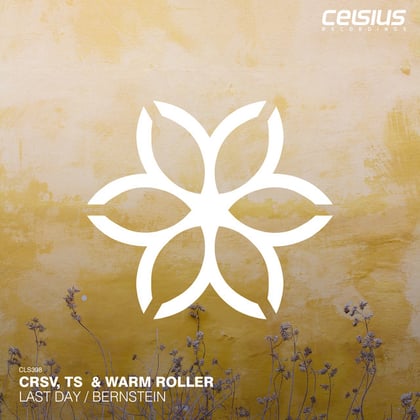 Last Day / Bernstein album by Warm Roller, TS & CRSV - Drum and Bass Cover Art