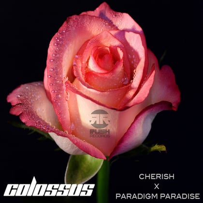 Cherish / Paradigm Paradise album by Colossus - Drum and Bass Cover Art