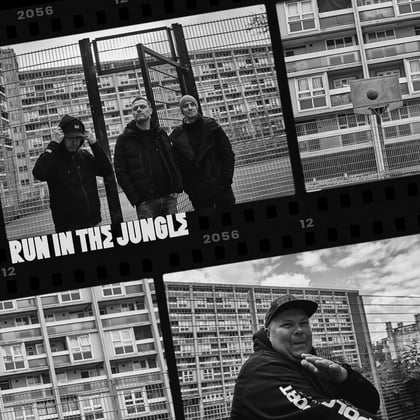 Run In The Jungle (Album Sampler 2) album by D*Minds, T>I & Run In The Jungle - Drum and Bass Cover Art