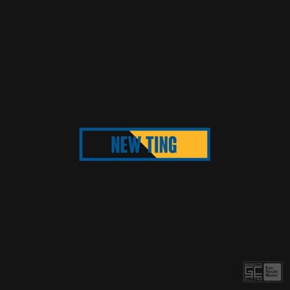 New Ting album by Conrad Subs & Genesis Elijah - Drum and Bass Cover Art