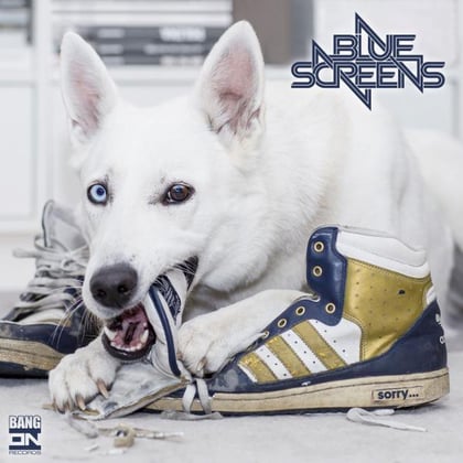 Sorry album by Bluescreens - Drum and Bass Cover Art