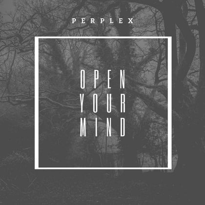 Open Your Mind album by Perplex (DNB) - Drum and Bass Cover Art