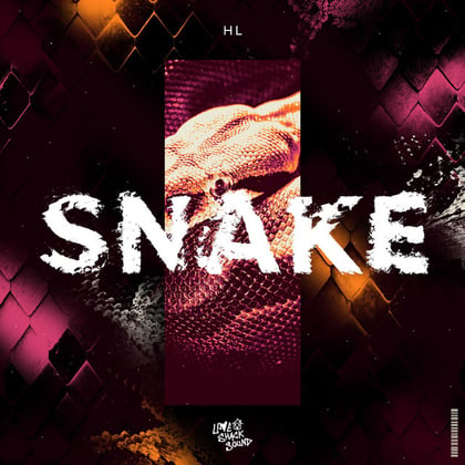 SNAKE album by HL - Drum and Bass Cover Art