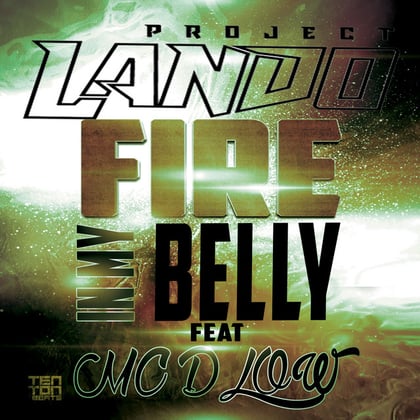 Fire in my Belly album by Project Lando - Drum and Bass Cover Art