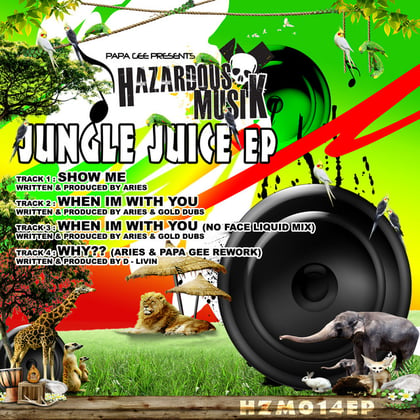 Jungle Juice album by Aries & D-Livin - Drum and Bass Cover Art