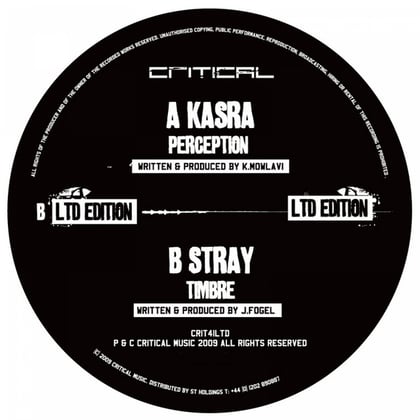 Perception album by Kasra & Stray - Drum and Bass Cover Art