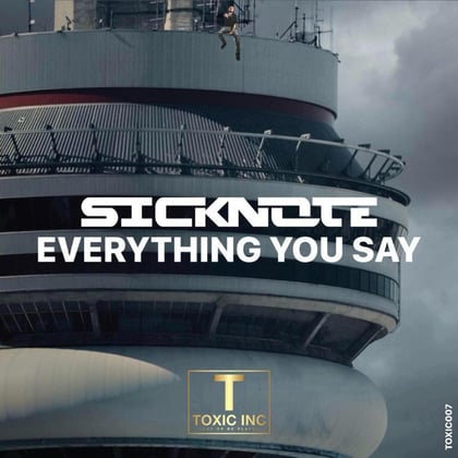 Everything You Say album by Sicknote (UK) - Drum and Bass Cover Art