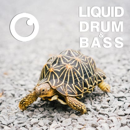 Liquid Drum & Bass Sessions #53 album by Dreazz - Drum and Bass Cover Art