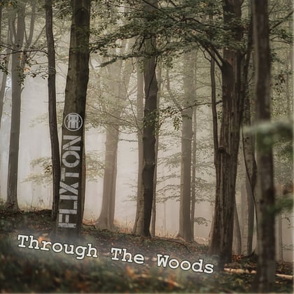 Through The Woods album by Flixton - Drum and Bass Cover Art