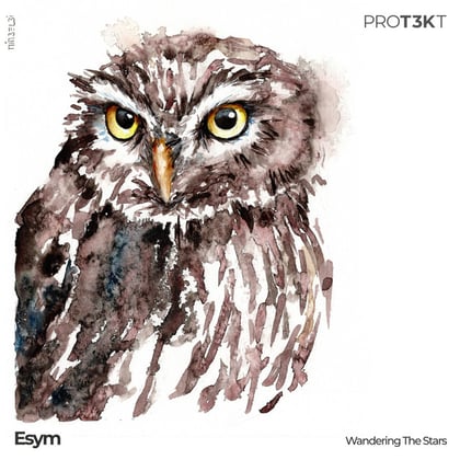Wandering The Stars album by Esym - Drum and Bass Cover Art