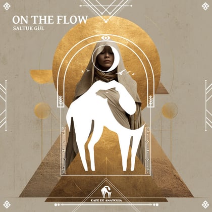 On the Flow album by Tengu, Saltuk Gül & Cafe De Anatolia - Drum and Bass Cover Art