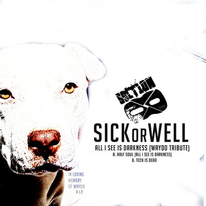 All I See Is Darkness (WAYDO Tribute) album by SICKorWELL - Drum and Bass Cover Art