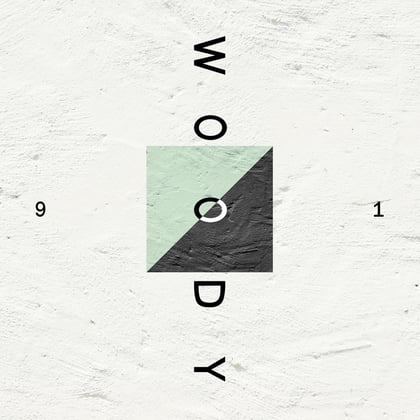 91 album by Woody - Drum and Bass Cover Art