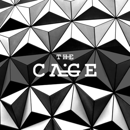 The Cage album by TMSV - Drum and Bass Cover Art