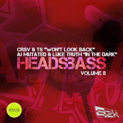 Won't Look Back album by TS - Drum and Bass Cover Art