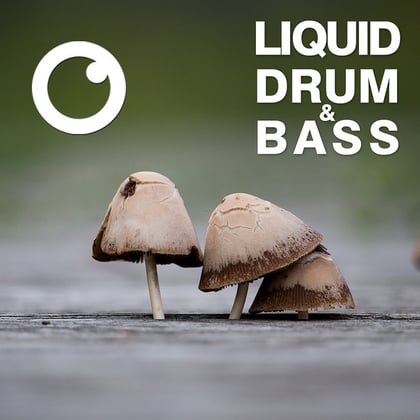 Liquid Drum & Bass Sessions 2020 Vol 20 : The Mix album by Dreazz - Drum and Bass Cover Art