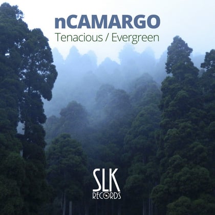 Tenacious album by nCamargo - Drum and Bass Cover Art