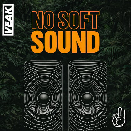 No Soft Sound album by Veak - Drum and Bass Cover Art