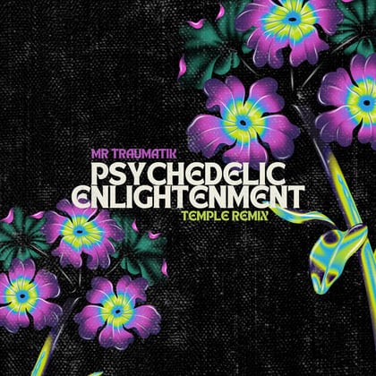 Psychedelic Enlightenment - Temple Remix album by Mr Traumatik & Temple - Drum and Bass Cover Art