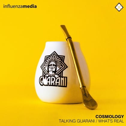 Talking Guarani / What's Real album by Cosmology - Drum and Bass Cover Art