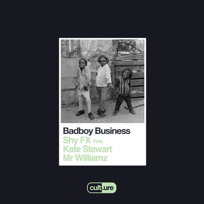 Badboy Business (feat. Kate Stewart and Mr Williamz) album by SHY FX - Drum and Bass Cover Art