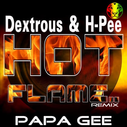 Hot Flame Remix album by DJ Dextrous - Drum and Bass Cover Art