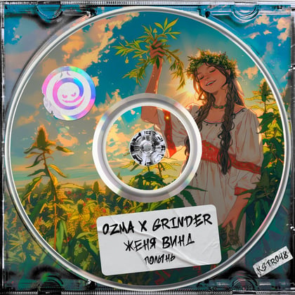 Полынь album by Ozma, Grinder & Женя Винд - Drum and Bass Cover Art