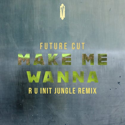 Make Me Wanna (R U Init Jungle Remix) album by Future Cut - Drum and Bass Cover Art
