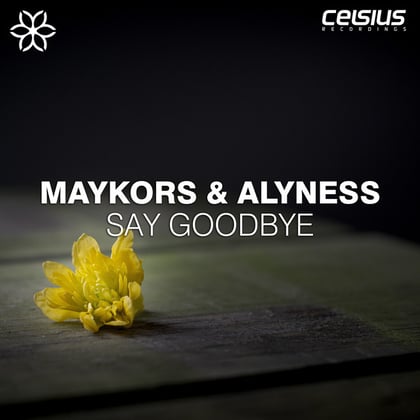 Say Goodbye EP album by Maykors & Alyness - Drum and Bass Cover Art