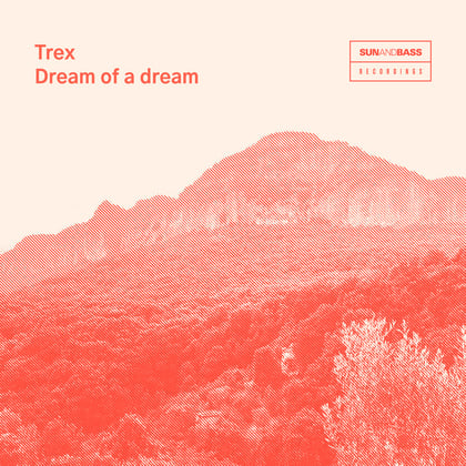 Dream Of A Dream album by Trex - Drum and Bass Cover Art