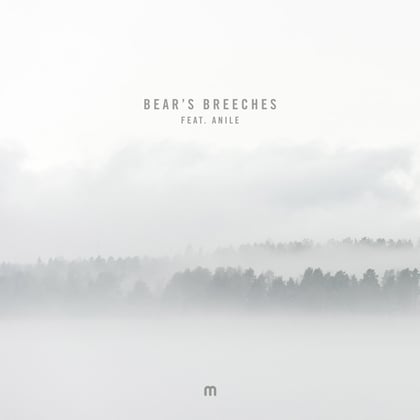 Bear's Breeches album by Etherwood - Drum and Bass Cover Art