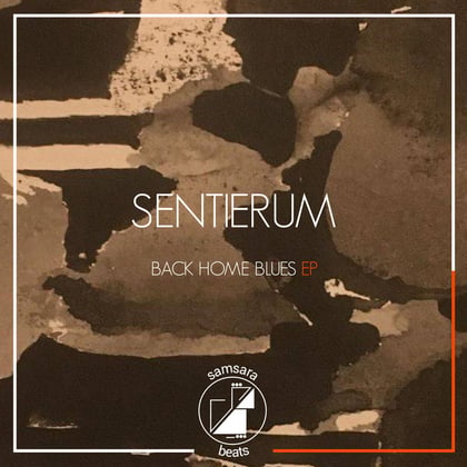 Back Home Blues album by Fanu - Drum and Bass Cover Art