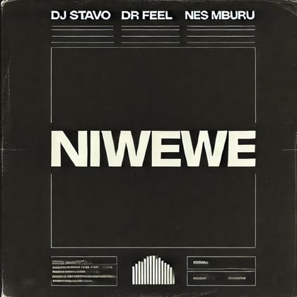 Niwewe album by Tengu, DJ Stavo & Dr Feel - Drum and Bass Cover Art