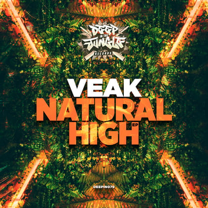 Natural High album by Veak - Drum and Bass Cover Art