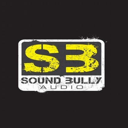 Sound get Bullied EP album by Dub Professors & Squad - Drum and Bass Cover Art