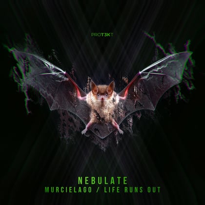 Murcielago/Life Runs Out album by Nebulate - Drum and Bass Cover Art