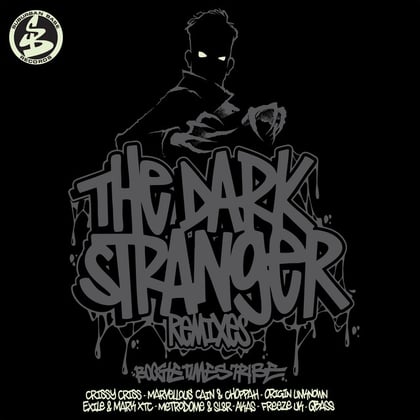 The Dark Stranger (Crissy Criss Remix) album by Crissy Criss - Drum and Bass Cover Art
