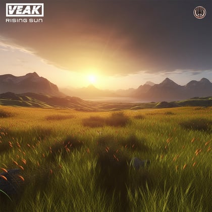 Rising Sun album by DJ Direkt & Veak - Drum and Bass Cover Art