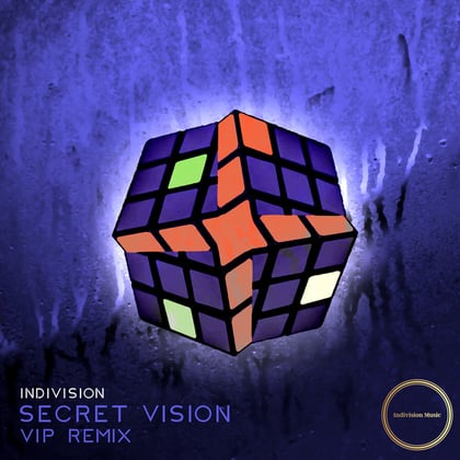 Secret Vision (VIP Remix) album by Indivision - Drum and Bass Cover Art