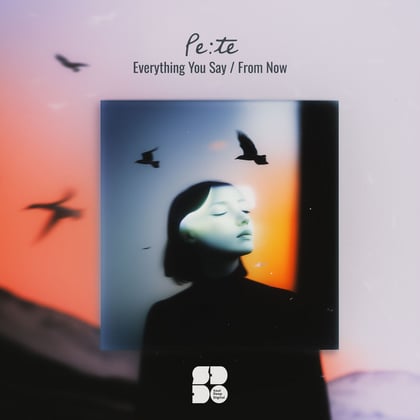Everything You Say / From Now album by Pe:te - Drum and Bass Cover Art