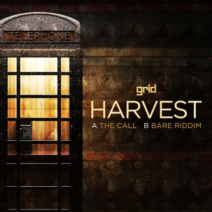 The Call / Bare Riddim album by Harvest - Drum and Bass Cover Art