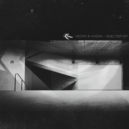 Shelter album by Kaiza - Drum and Bass Cover Art