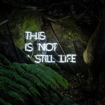 This Is Not a Still Life album by Agamath - Drum and Bass Cover Art