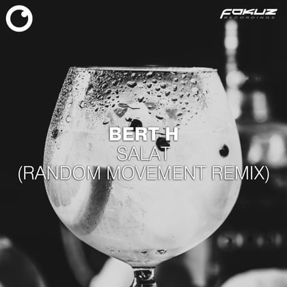 Salat (Random Movement Remix) album by Bert H & Random Movement - Drum and Bass Cover Art