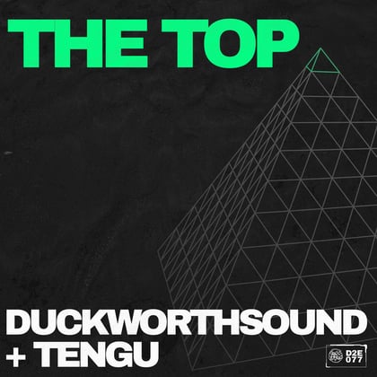 The Top album by Tengu - Drum and Bass Cover Art